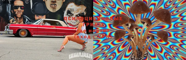 альфа пвп Нея