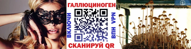 Купить где  Шилка  Галлюциногенные грибы прущие грибы